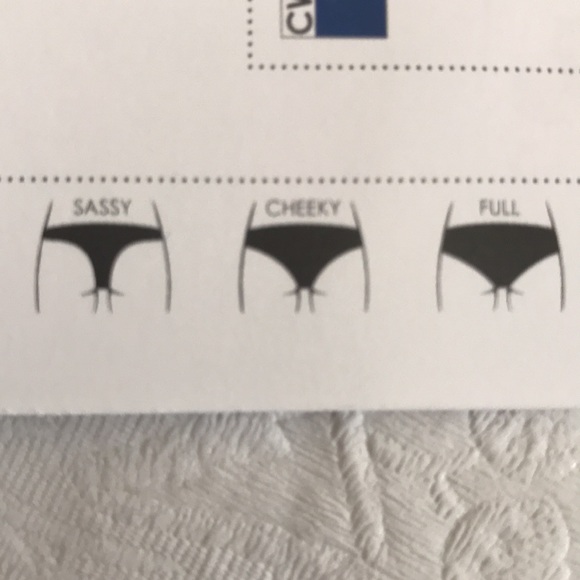 Lisa Blue Bikini Winged Ones - Celestial Blue (#19) - Picture 9 of 14